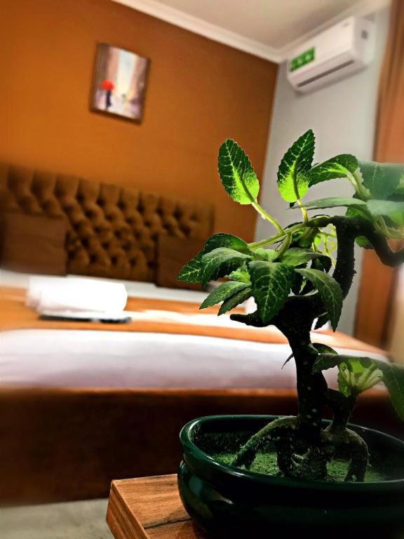 Geo Hotel Tbilissi Extérieur photo